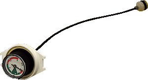 bx pt ecoblue j21529 pg.gif